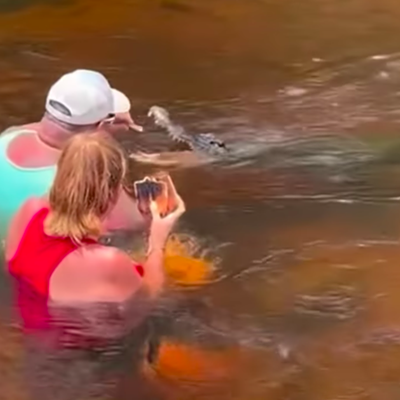 Video appears to show Florida man feeding alligator a sandwich