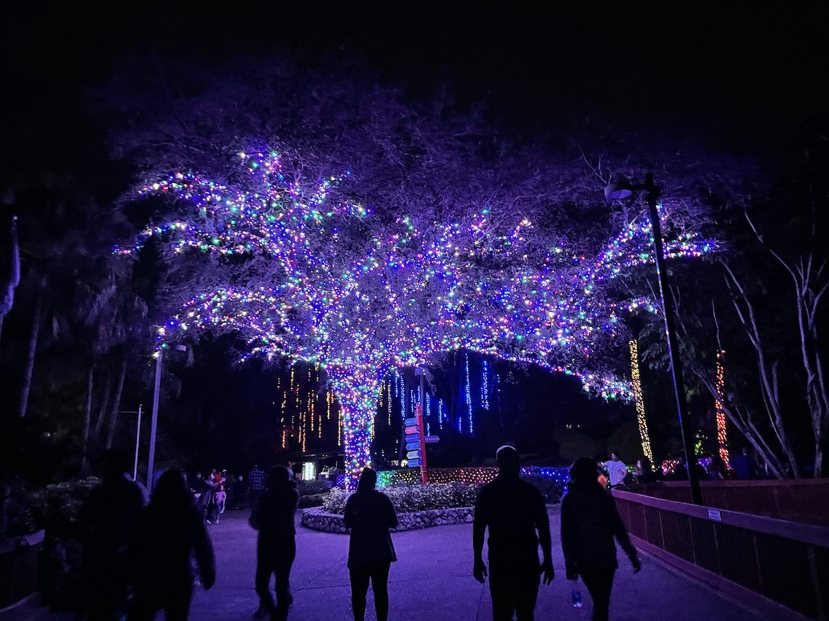 Photos: Busch Gardens Tampa Bay celebrates 10 years of Christmas Town
