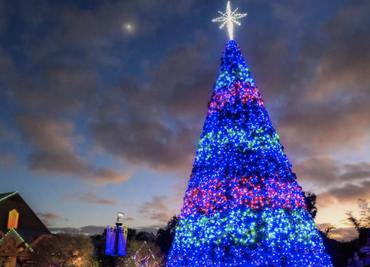 Fort Campbell Christmas Tree Giveaway 2022 The Best Tampa Bay Spots For Christmas Trees, Fake Snow, Meeting Santa And  Other Holiday Experiences | Tampa | Creative Loafing Tampa Bay