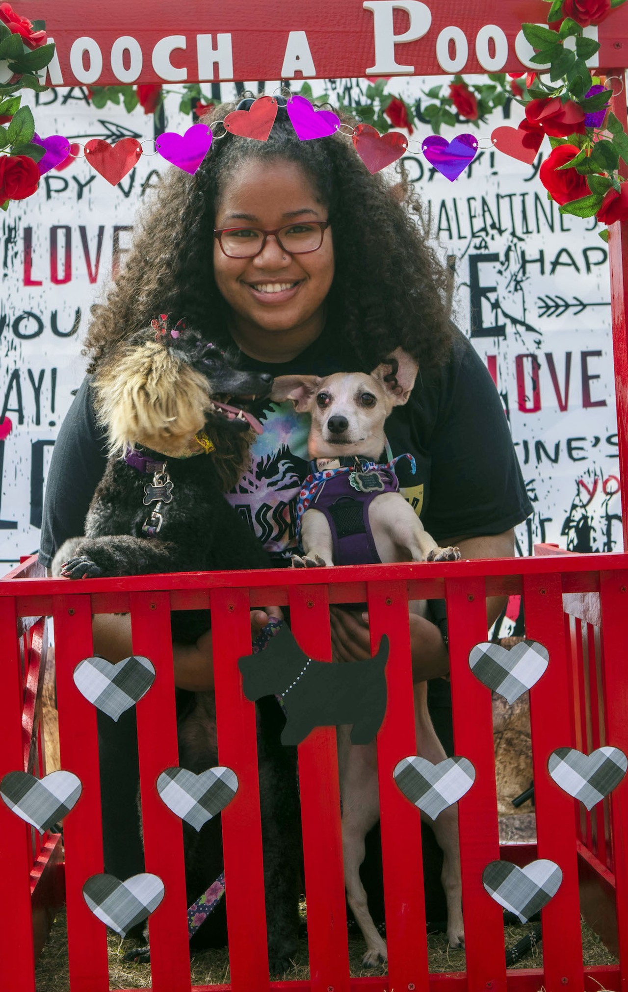 Everyone, and every pup, we saw at Tampa's 'Bark In the Park' fundraiser, Tampa