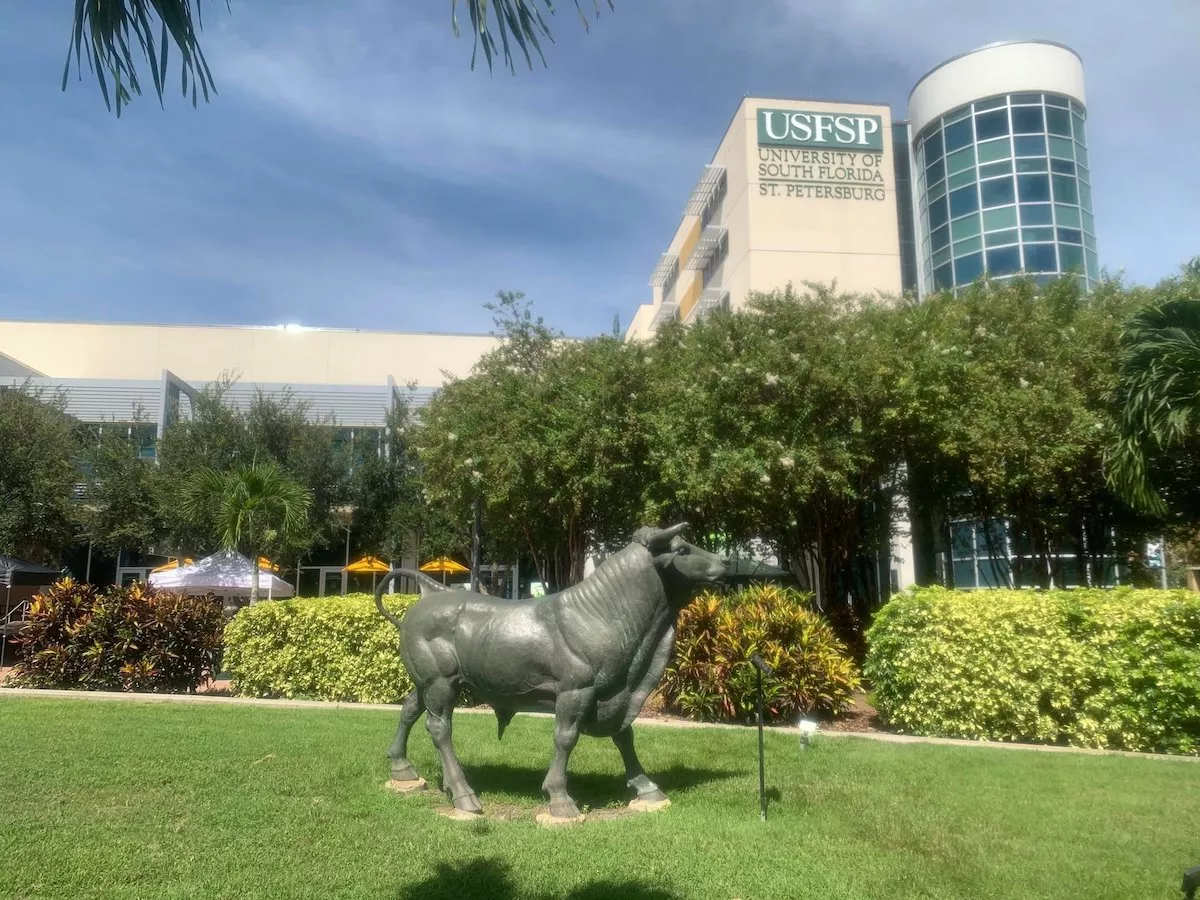 University of South Florida, St. Petersburg campus
