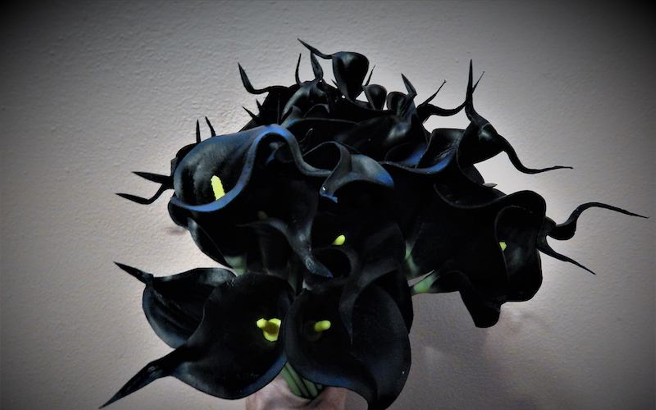 In Tampa Bay, we love horror. That's why Calla lilies — black, of course — are all the rage for St. Petersburg's newest holiday — Valenwe'en's Day. Black is the new red, y'all.