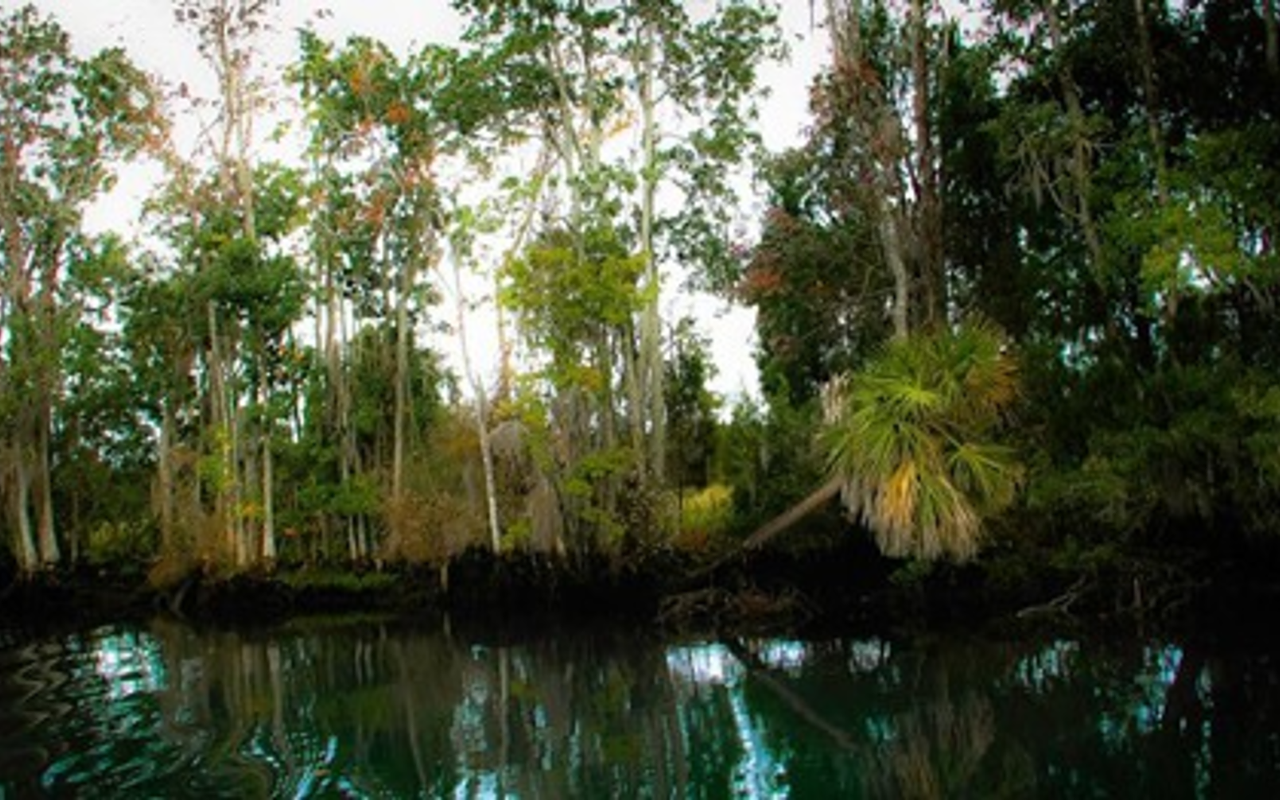 IDYLLIC: Crystal River is a low-key getaway that requires less than a quarter-tank of gas for Tampa Bay residents.