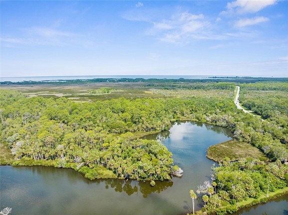 You can now buy an entire Florida spring in Tampa Bay for $2.7 million