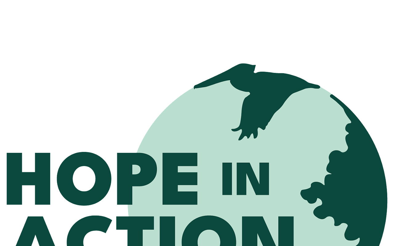 Image: Youth Environmental Action Summit